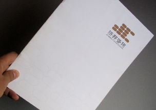 濟邦投資公司畫冊設計作品賞析 專業(yè)與創(chuàng)新的融合