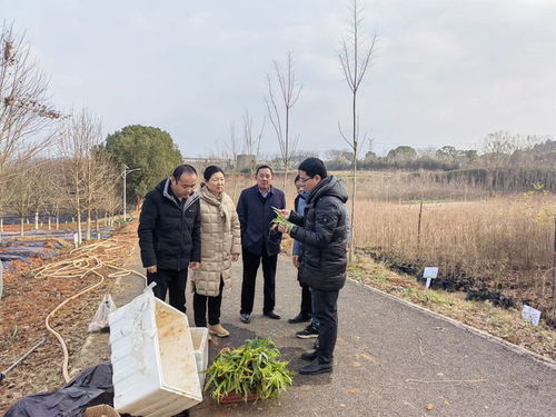 中藥材所栽培團隊赴武漢市林業(yè)工作站開展合作交流