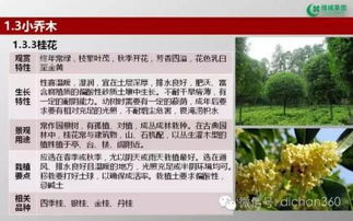 綠城集團(tuán)園林軟景苗木圖譜,非常全面,值得借鑒 收藏